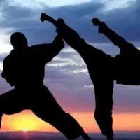 به چند رزمی کار نیازمندیم
