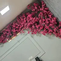 گل بسیار بزگ به همراه گلدان مخصگوص سالن زیبایی