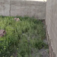 زمین1480متری-ملکی-جهت-باغ-ویلا-ال-دیوار-قبل-چناران