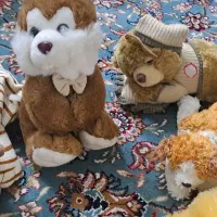 عروسک|اسباببازی بچه|قزوین, |دیوار