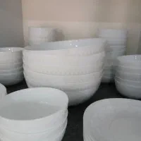 سرویس ارکوپال  فروشی