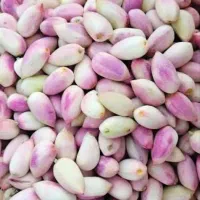 پسته|عمده‌فروشی|سبزوار, رباط|دیوار