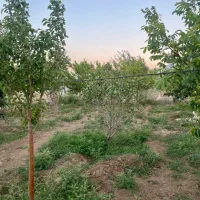 باغ ۱۰۰۰ متری در سیمین -کنار آسفالت و رودخانه