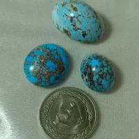 فیروزه شجره نیشابوری اصل
