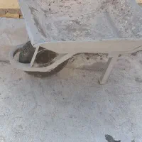 فرغون