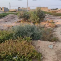 زمین-در-شرکت-آجر-حمیدیه