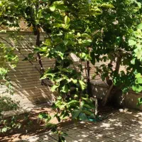 فروش-زمین-و-ملک-2-طبقه-زمین-مناسب-ساخت-و-ساز
