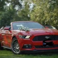 تشریفات مجالس