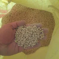 دان جیره تخصصی مرغ بلدرچین بوقلمون تخم گوشتی