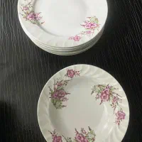 ظروف گل سرخی