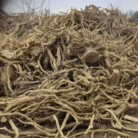 زغال ریشه مرکبات کبابی