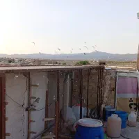 قفس کبوتر