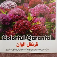 طراح گرافیست مسلط و با تجربه|استخدام هنری و رسانه|تهران, بهارستان|دیوار