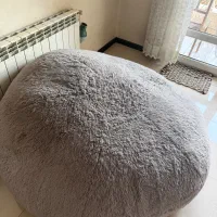 بین بگ سوپرسافت دو نفره، کم نظیر
