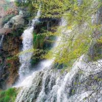 تور یک روزه ارتکند