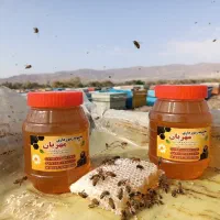 عسل طبیعی مستقیم از زنبوردار