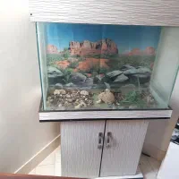 اکواریوم  بسیار بزرگ