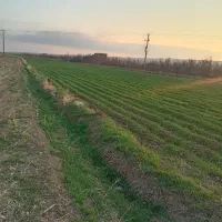 فروش زمین کشاورزی