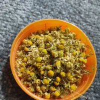 گل بابونه درجه1