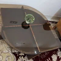 گل میز