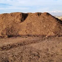 کود حیوانی|خدمات باغبانی و درختکاری|تنکمان, |دیوار