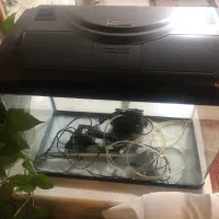اکواریوم شیشه خم دلسا