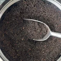 فروش چای با کیفیت بهاره
