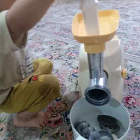 چرخ گوشت