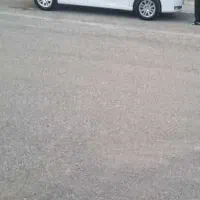 دنا پلاس دنده ای