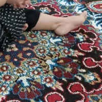 قالی