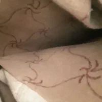 موکت