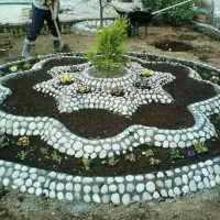 انجام کلیه خدمات باغبانی .باغچه کاری.تیلرزنی