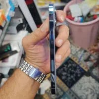 13promax