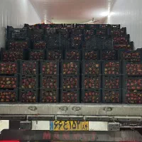 استخدام راننده با ماشین باری