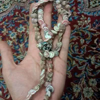 زنجیر صدفی