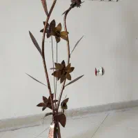 آواژور مسی