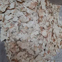 نان خشک تمیز به شرط