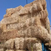 پرس جو سر زمین وحومه مشهد تحویل