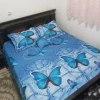 سالم چوب.ب گردو