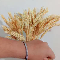 بنگل|بدلیجات|تربت‌حیدریه, شهدا|دیوار