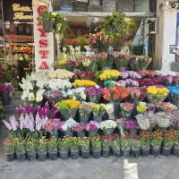 کارگاه ساده گلفروشی