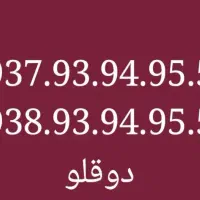 خط رند