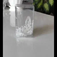 باکس طلق جعبه بسته بندی