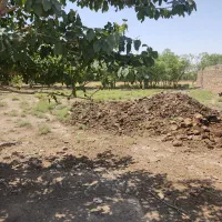 فروش-زمین-باغی-باغچه-دامداری