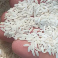 برنج علی کاظمی به شرط پخت