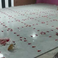 کاشیکاری سرامیک،سنگ،بین کابینت،سرویس ،حمام