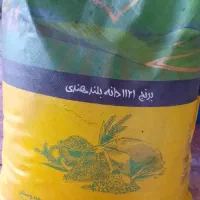 برنج|خوردنی و آشامیدنی|تهران, شهرک دانشگاه|دیوار