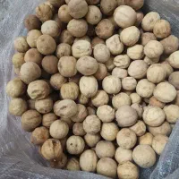 لیمو عمانی محلی تازه دزفول