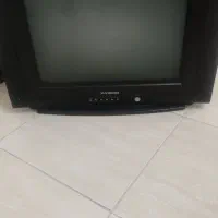 تلویزیون