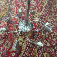 لوسترهشت‌شاخه‌ برنج سالم‌وسلامت